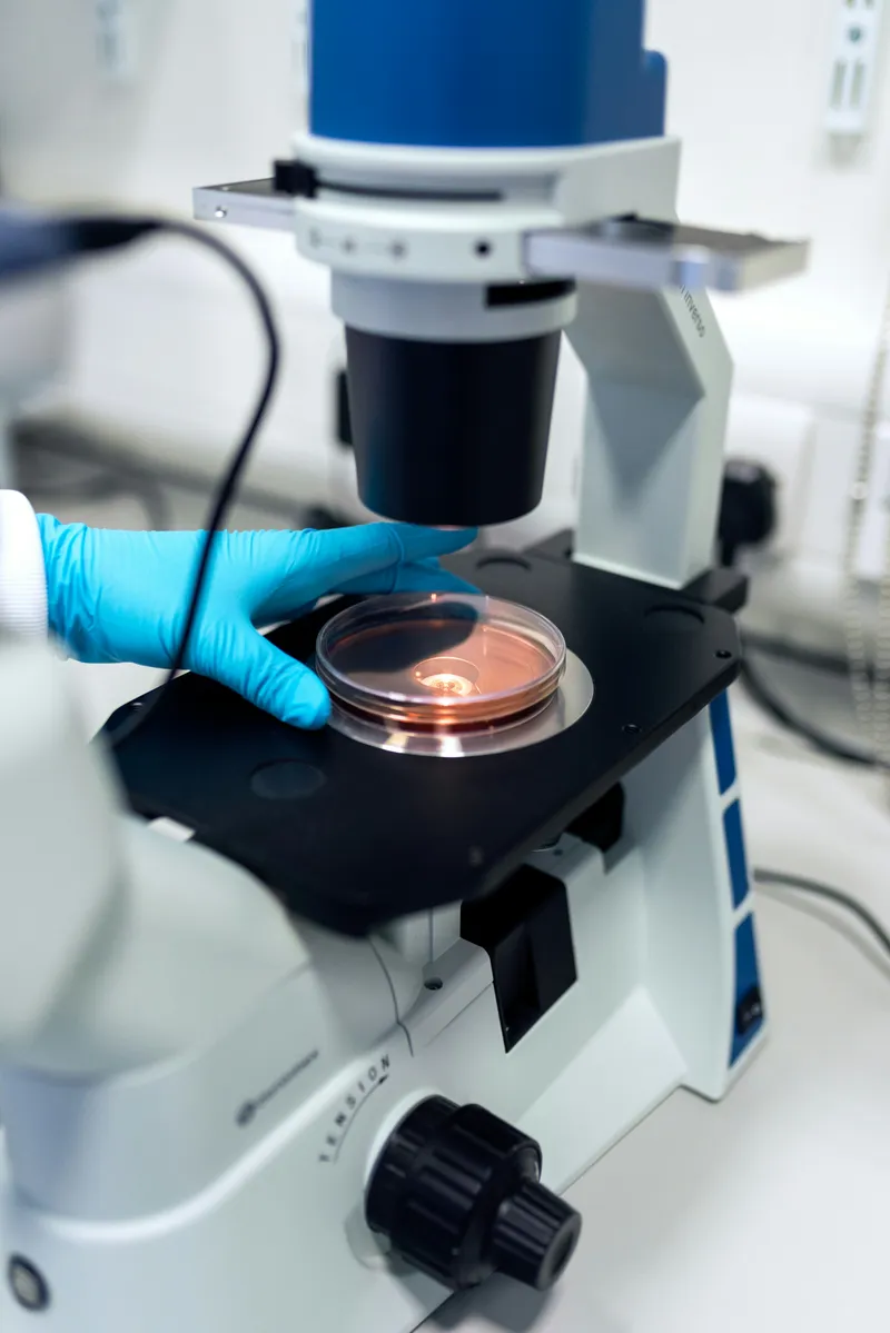 Plan assays and wet-lab validation, then interpret the resulting evidence.