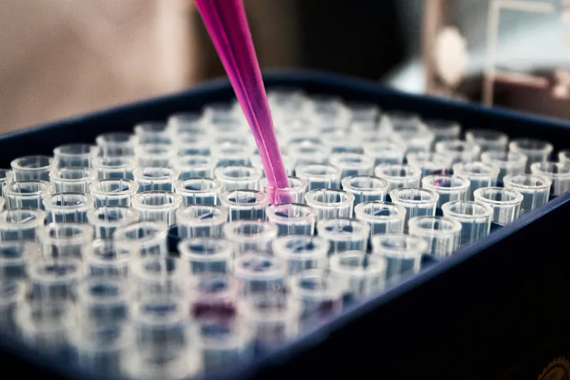 Turn an objective into experiments, controls, decision gates, and validation plans.