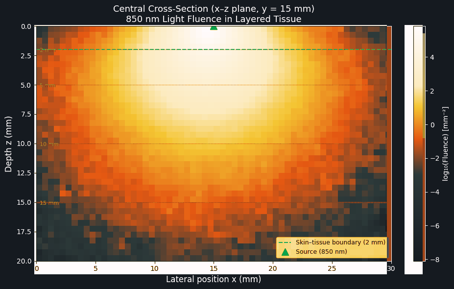 Simulated light fluence through layered tissue in an optical model